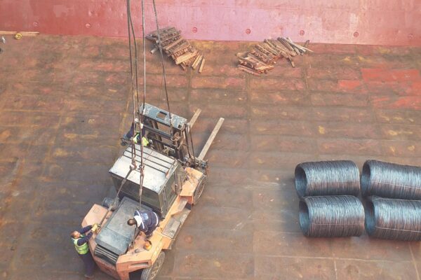 Lady Speranza - Wire Rods - Djen Djen2