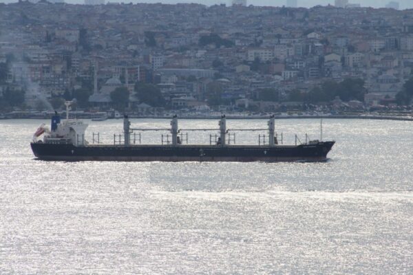 Lady Venezia 3